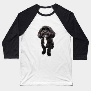 Shih Tzu Black Cute Puppy Dog Baseball T-Shirt